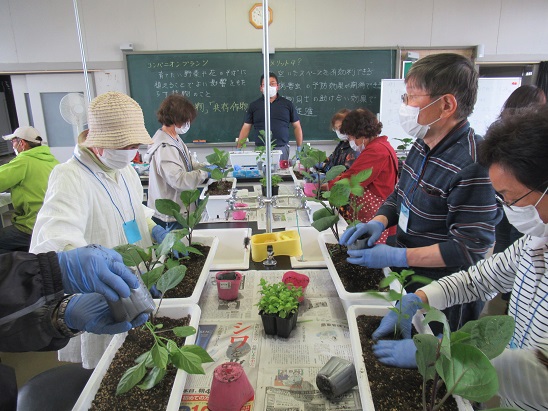 プランターに種類の違う苗を植えていきます