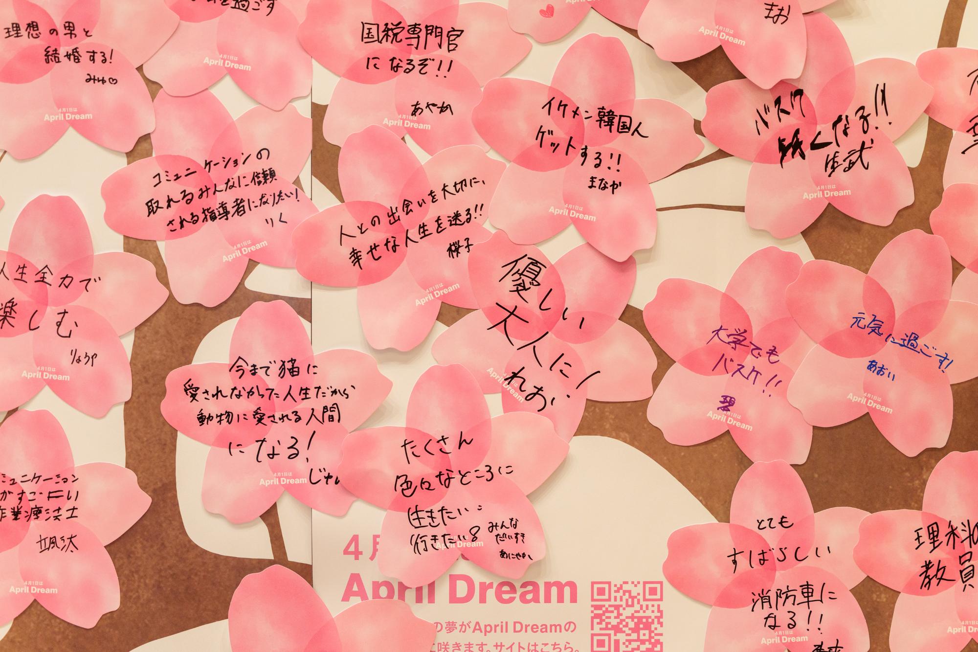 April Dream5