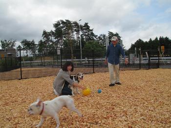 ドッグランで大人2人が犬1匹と遊んでいる写真