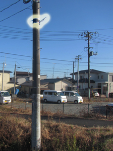 電柱に共架された防犯灯の写真
