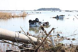 国道6号線にて電柱はなぎ倒され、白い車は横転・破壊され、海水がまだ引いてない津波の悲惨さを写した写真