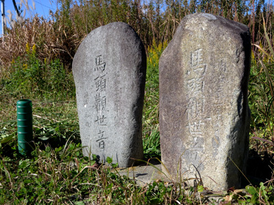 草むらの中に古びた馬頭観世音の石碑が左右に2つ並んだ画像