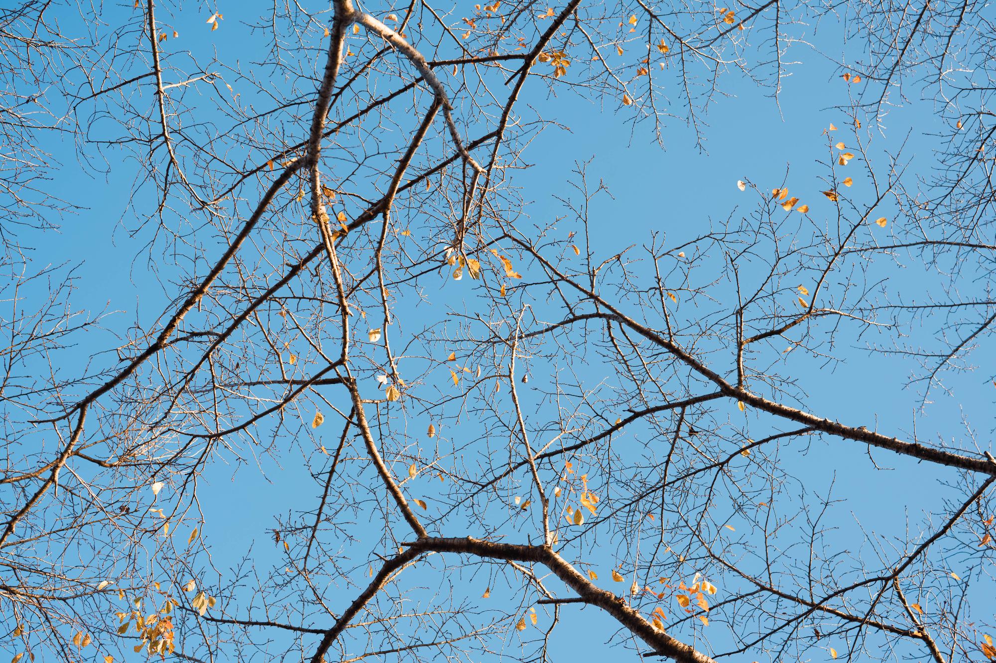 空01