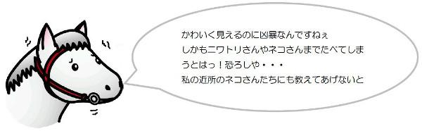 かわいく見えるのに凶暴なんですねぇ しかもニワトリさんやネコさんまでたべてしまうとはっ!恐ろしや・・・私の近所のネコさんたちにも教えてあげないと