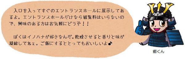 入り口を入ってすぐのエントランスホールに展示してあるよ。エントランスホールだけなら観覧料はいらないので、興味のある方はお気軽にどうぞ!!ぼくはイノハナが好きなんだ。乾燥させると香りと味が凝縮してねぇ。ご飯にするととってもおいしいよ。