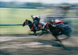 宵乗り競馬(雲雀ヶ原)の写真。競馬場ような場所を、騎馬武者が馬に乗って駆け抜けている写真。