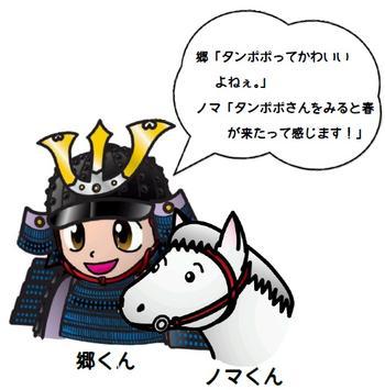 郷「タンポポってかわいいよねぇ。」のま「タンポポさんをみると春が来たって感じます!」