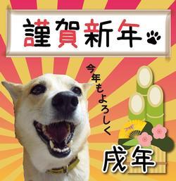 謹賀新年 今年もよろしく 戌年
