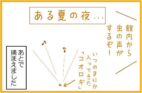 ある夏の夜・・・ 館内から虫の声がするぞ いつのまにか入ってきた「コオロギ」あとで捕まえました