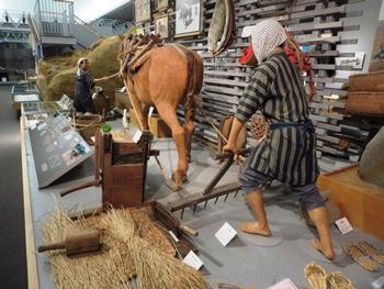 近くから見た代かきを再現した展示の写真