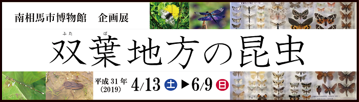 南相馬市博物館 企画展「双葉地方の昆虫」 タイトル画像