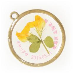 ミヤコグサのペンダント型封入標本
