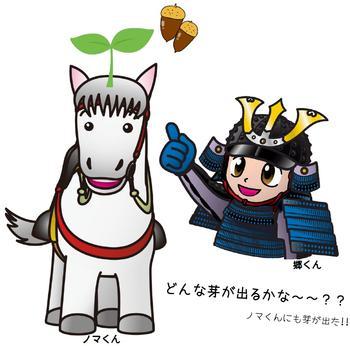 どんな芽がでるかな~~??ノマくんにも芽が出た!!