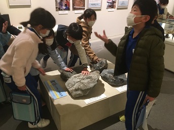 子どもたちが化石に触れている様子