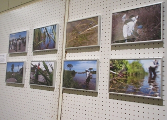 写真パネルが並ぶ展示ボードの写真