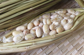 藁苞の中に大豆が詰まっていて、表面が白く見える。