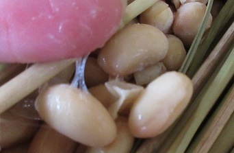 大豆が粘りのある糸を引いている様子。