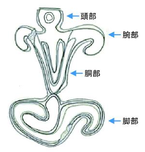 図1 宮後B遺跡出土人体文土器の文様
