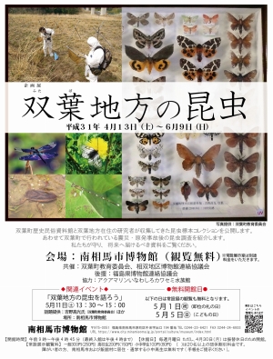 標本のチョウや採集風景がのっている企画展のポスター画像