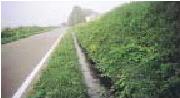 道路脇にある桜井古墳公園脇の用水路が写っている写真
