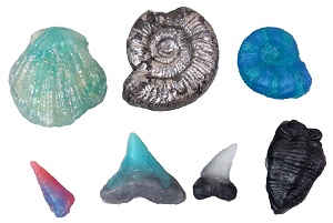 貝、アンモナイト、サメの歯、三葉虫などを樹脂粘土で作ったレプリカ