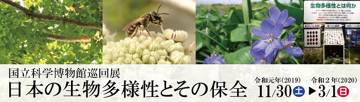 南相馬市博物館 国立科学博物館巡回展「日本の生物多様性とその保全」 タイトル画像