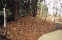 桜井古墳公園内にある野馬土手の写真