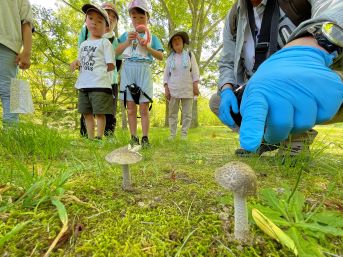 地面に生えたキノコを指さす講師とそれを見ている参加者たち