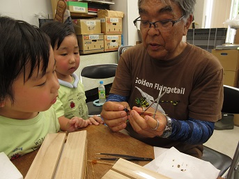 トンボを標本にする方法を子どもたちに教える講師