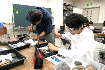 前日に掘った化石を標本にするためにクリーニングする様子