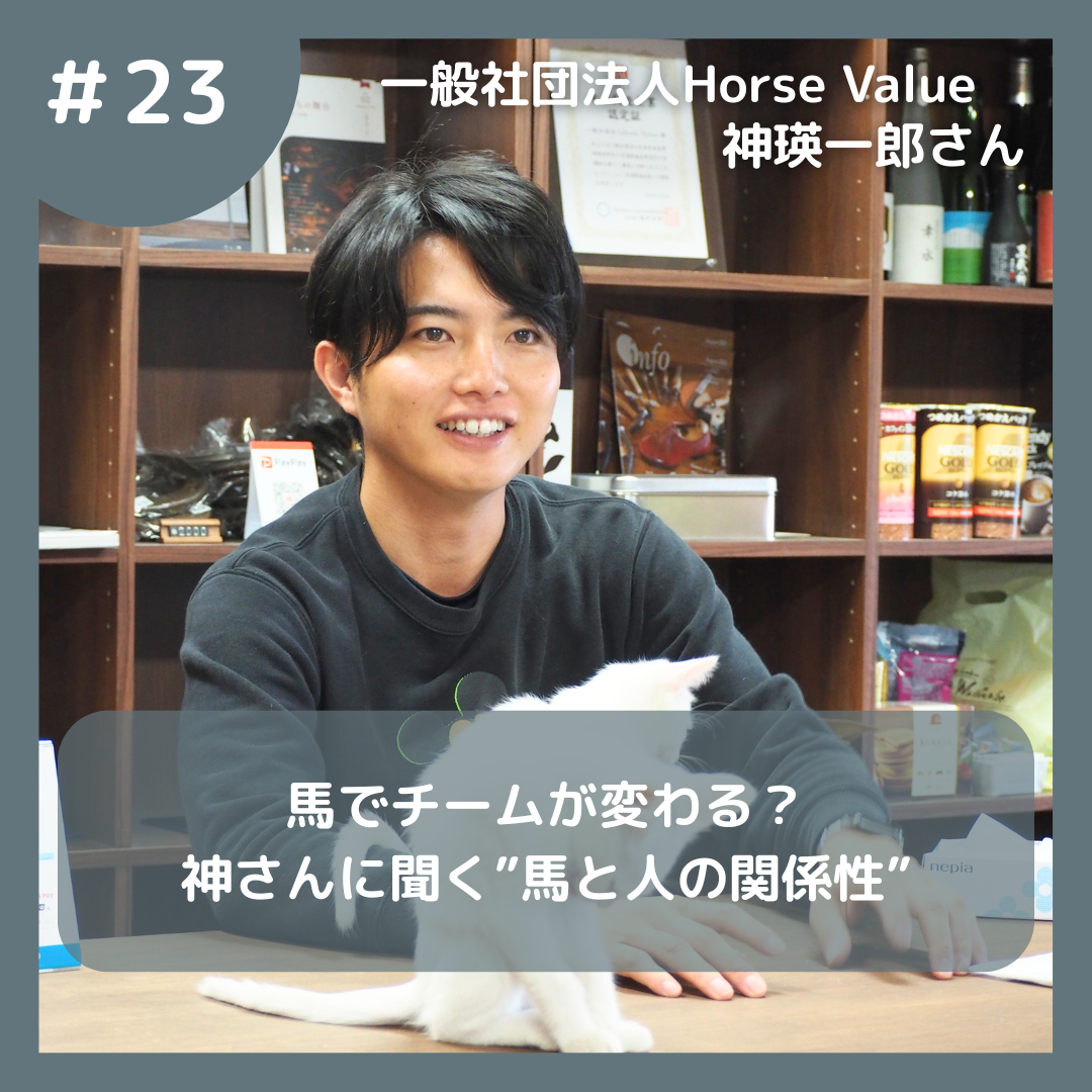 ホースバリュー神さん