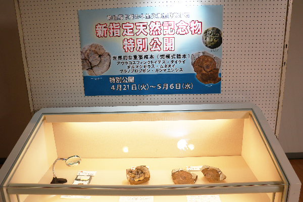 【令和8年4月21日】新たに指定された南相馬市指定天然記念物の特別公開