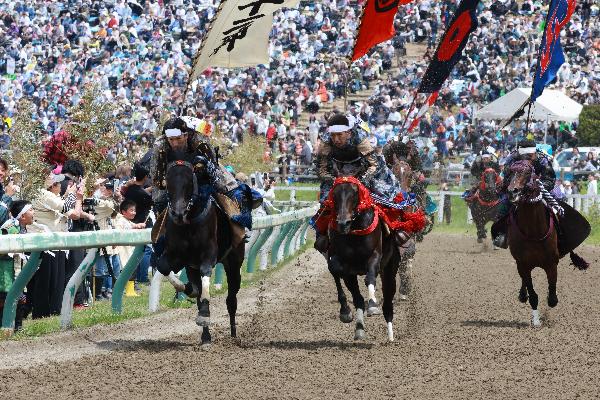 【令和8年5月23,24,25日】相馬野馬追