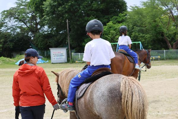 【令和8年6月18日】大甕小学校での馬との触れ合い体験