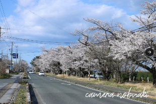 @nobuaki1959