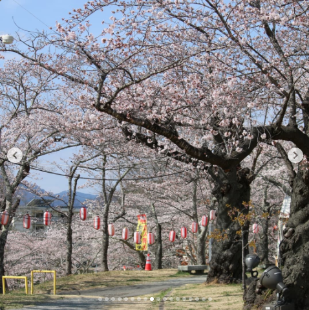 ＠nobuaki544