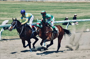 春季競馬の一枚