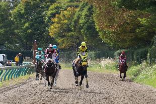 【令和7年10月19日】相馬野馬追秋季競馬大会