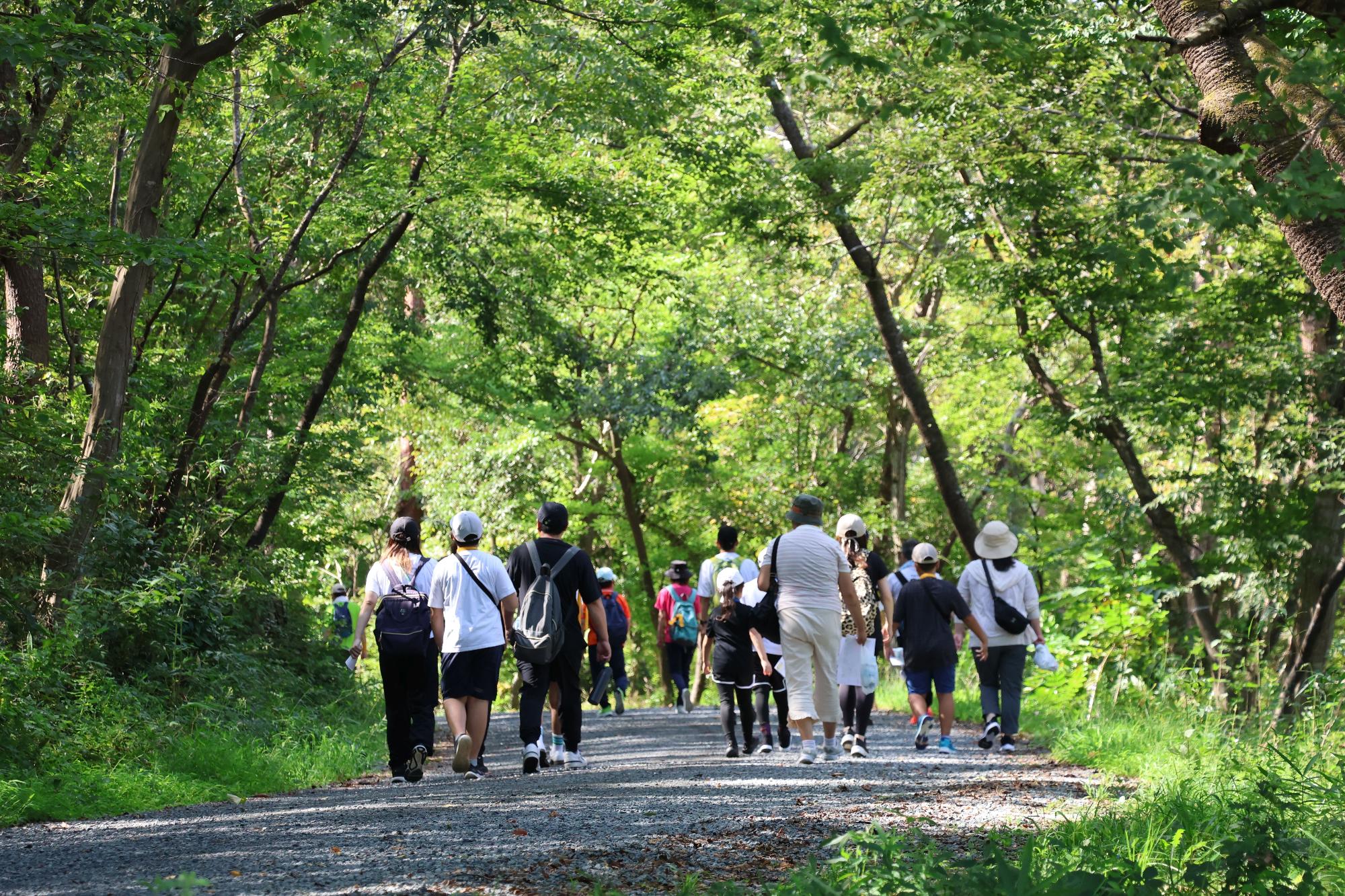【令和8年9月5日】第5回ジョイフルウォークみなみそうまin東ヶ丘公園