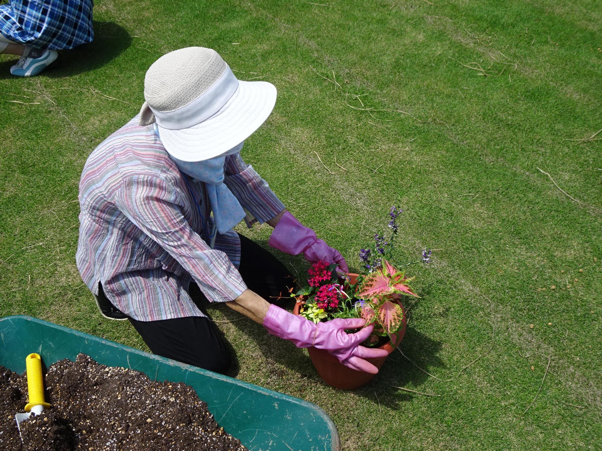 土の量にも気を付けて寄せ植えを行います