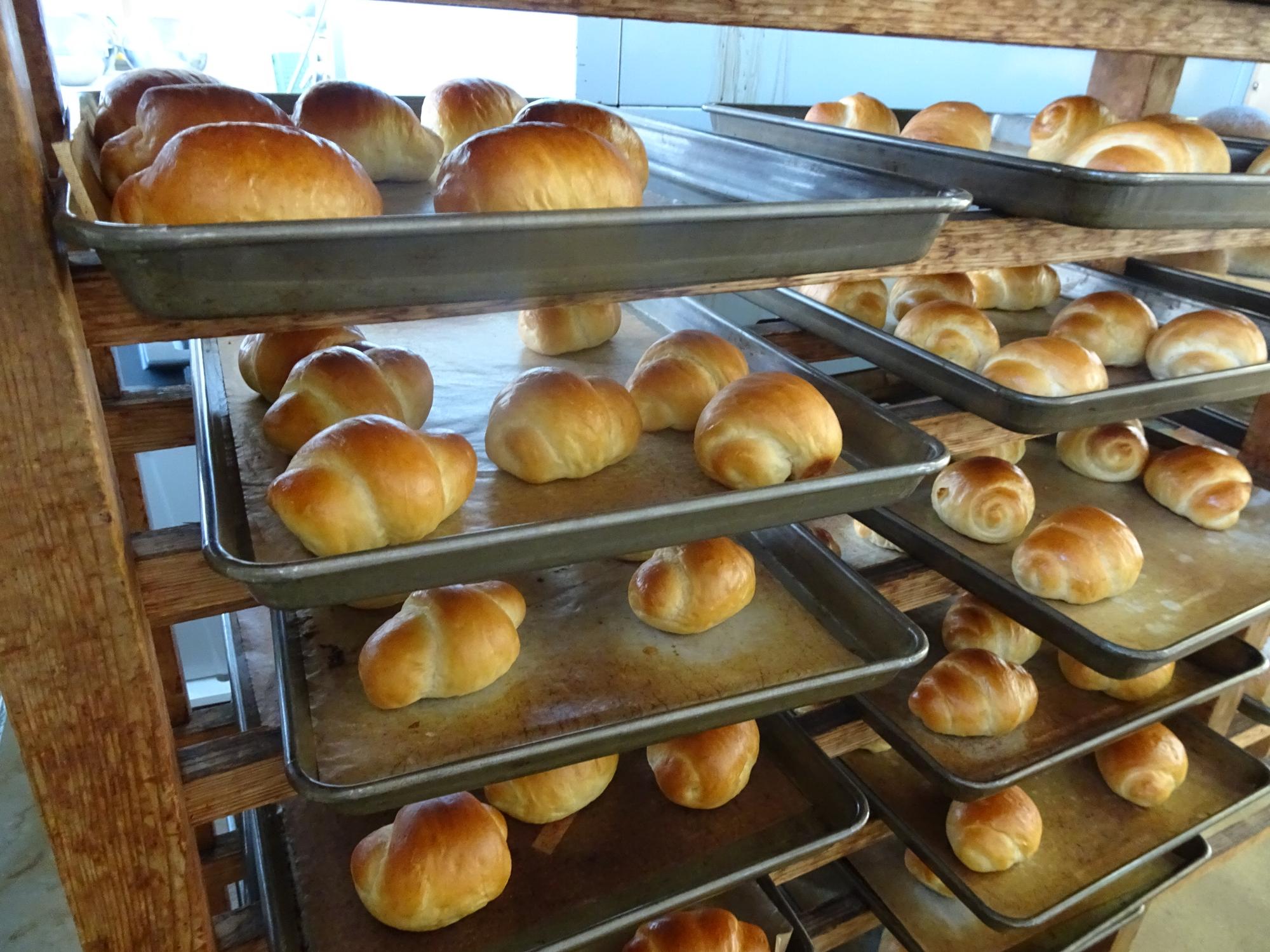 焼き立てのバターロールの写真