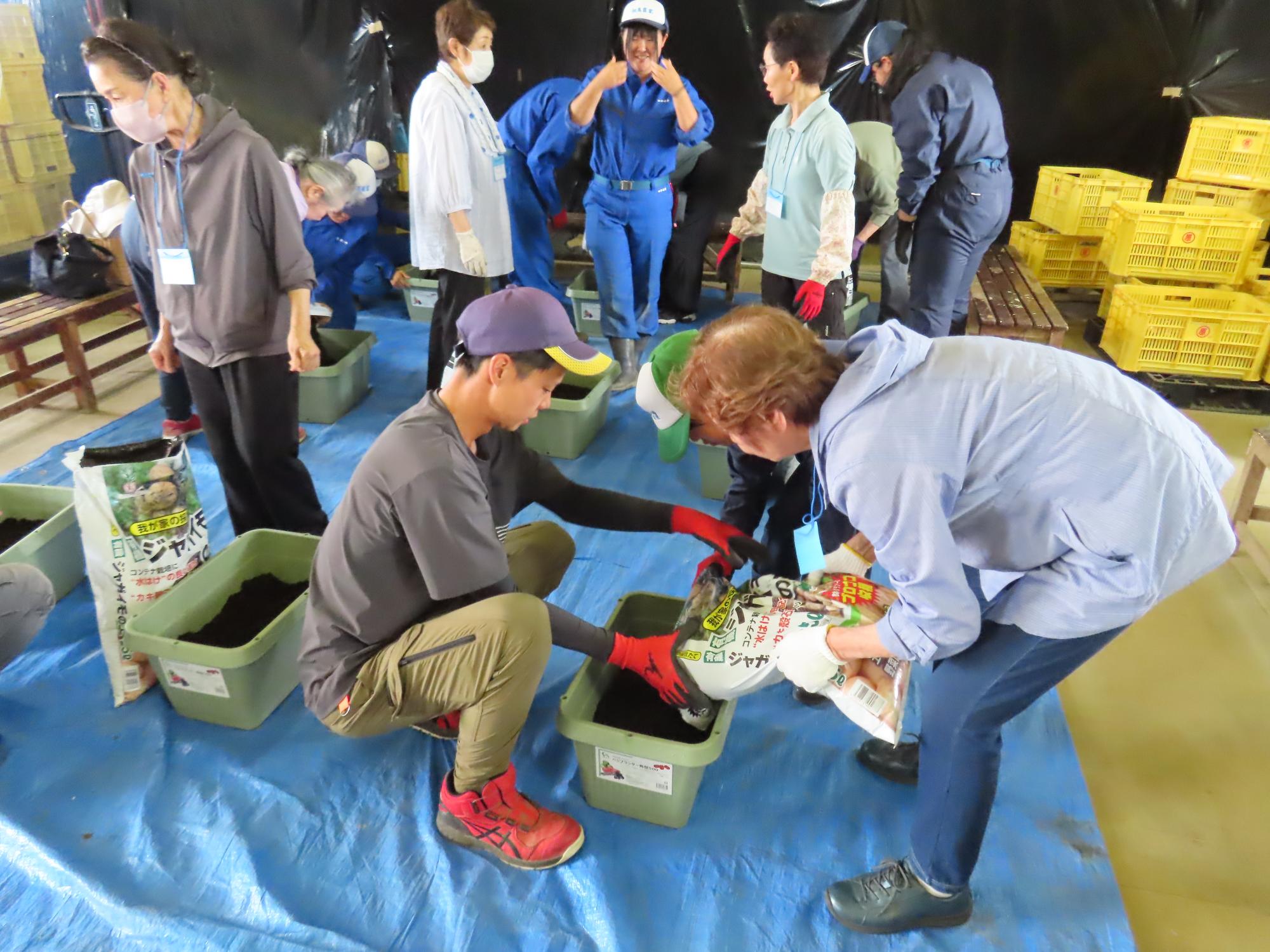 プランターに土を入れる様子の写真