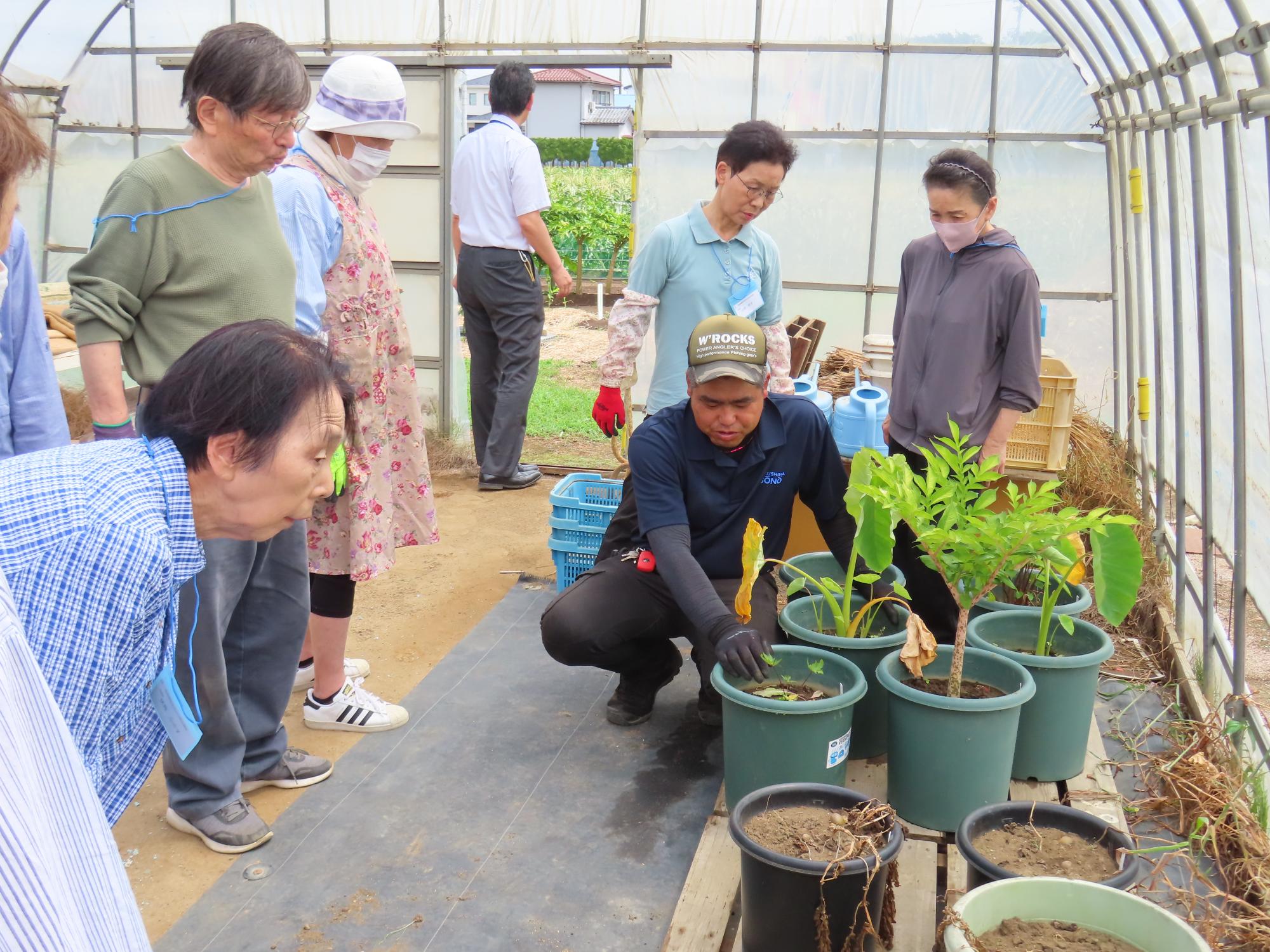 学校のプランター栽培の様子を見学している写真