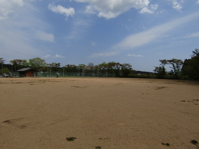 Multipurpose field