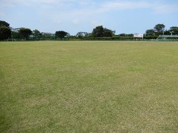 Soccer field