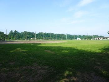 Field