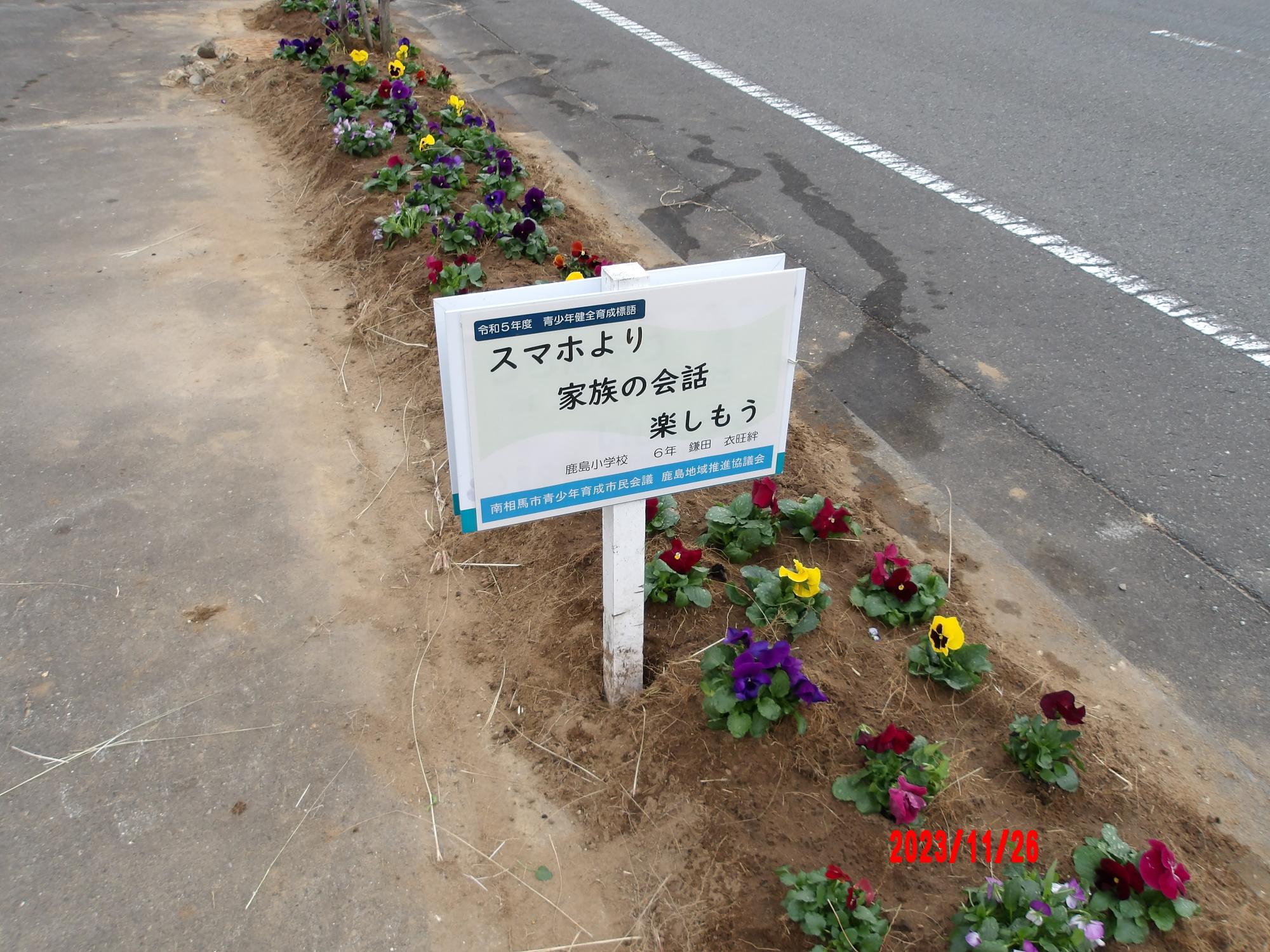 花植えのあとの様子