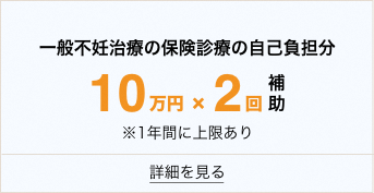 一般不妊治療の自己負担分10万円j×2回補助