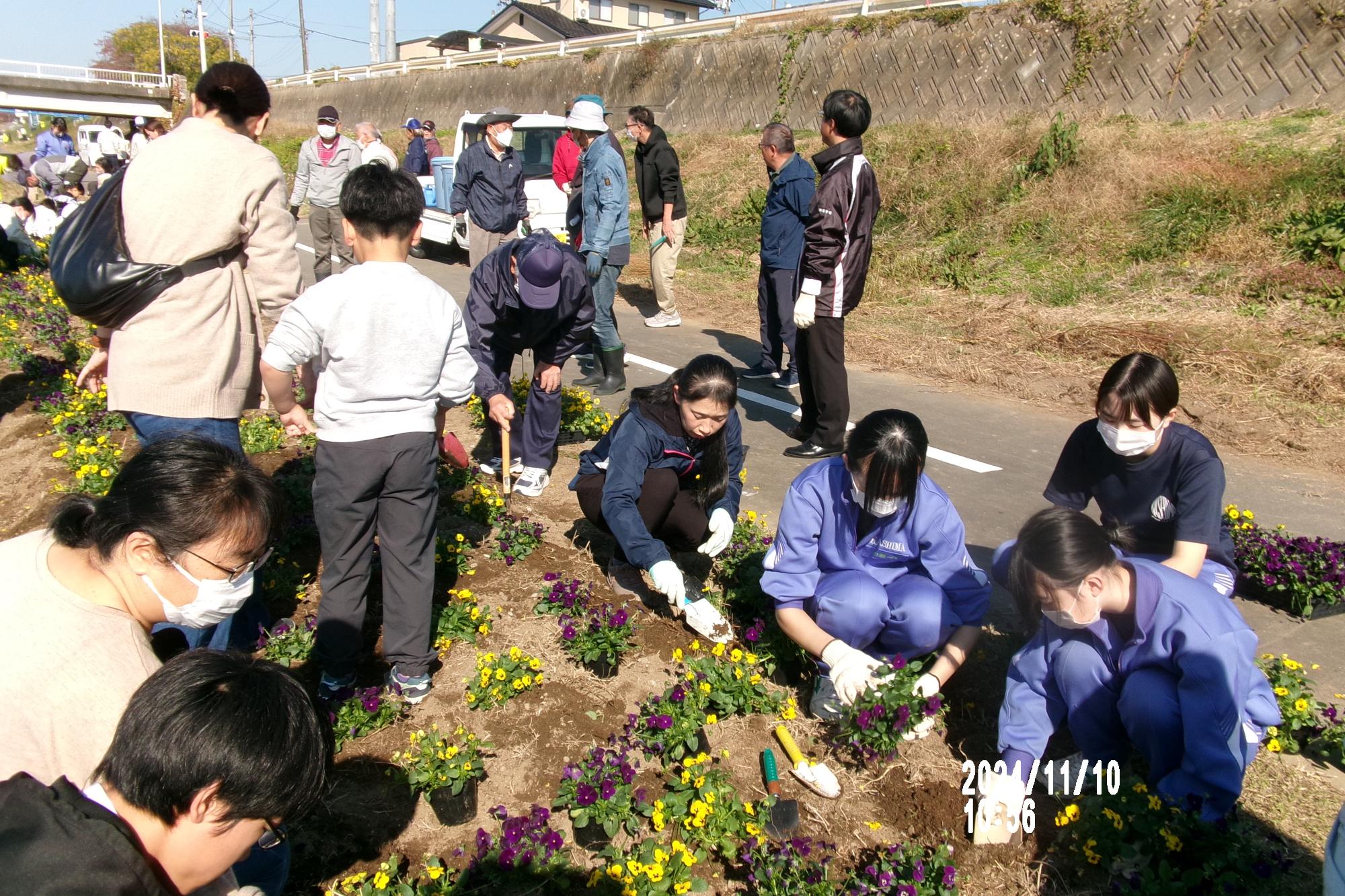 花いっぱい運動の写真