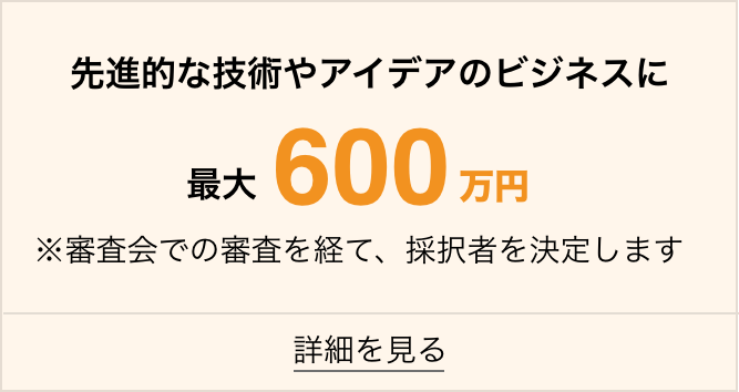 先進的な技術やアイデアのビジネスへの補助